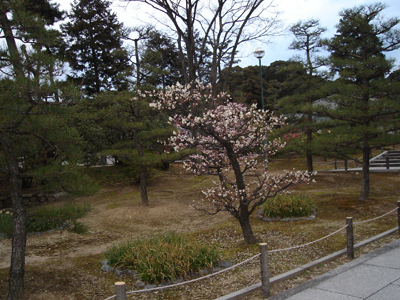 chishakuin03.jpg